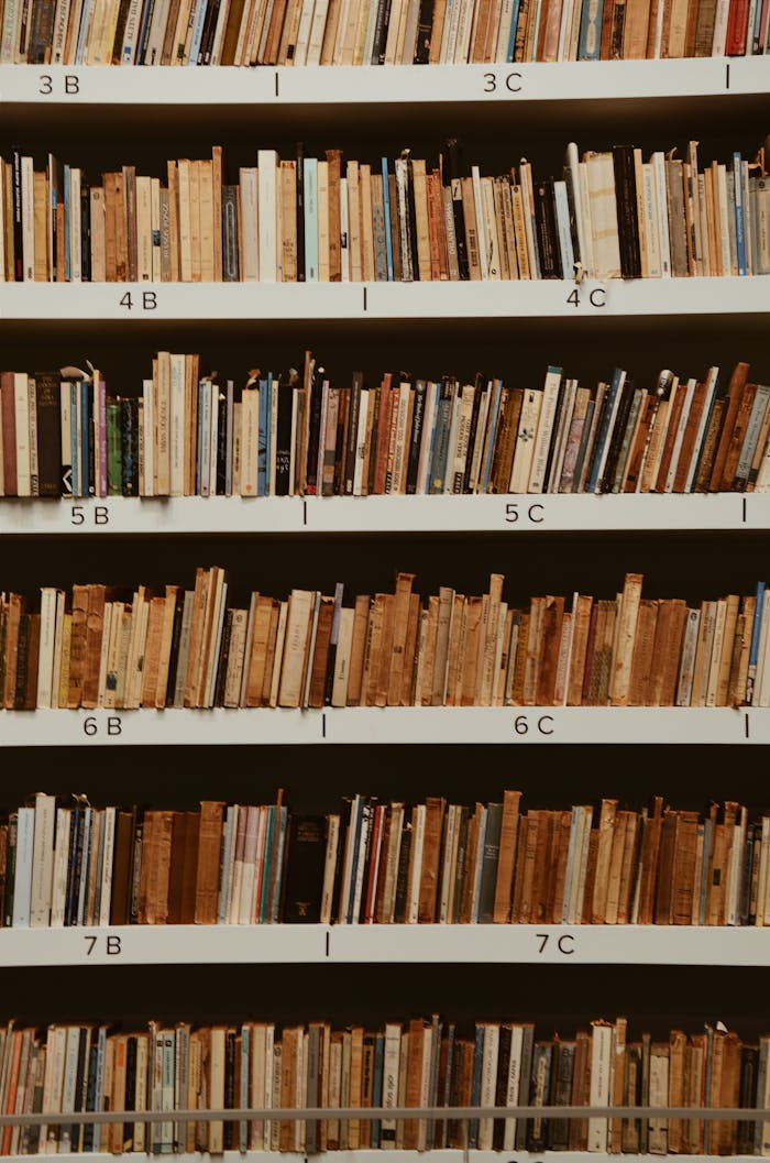 A well-organized bookshelf in a library with assorted books neatly placed.